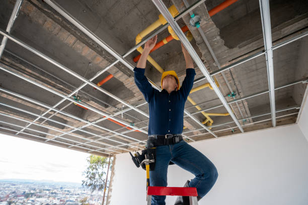 Best Leak Detection Services  in Tipton, MO