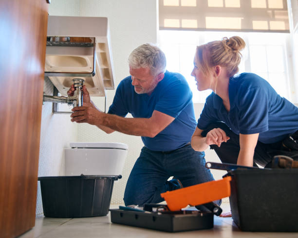 Best Local Plumber Services  in Tipton, MO